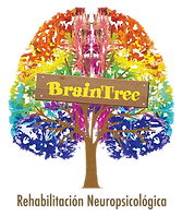 BrainTree Center Logo